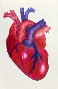 realistic_heart